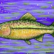Rainbow Trout Poster