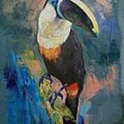 Rainforest Toucan Poster