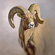 Ram Portrait Poster