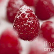 Raspberries Sprinkled With Sugar Poster