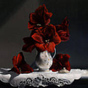 Red Amaryllis Poster