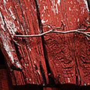Red Barn Wood With Dried Vine Poster