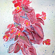 Red Begonias Poster