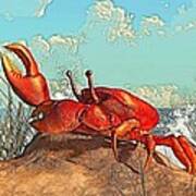 Red Crab Poster