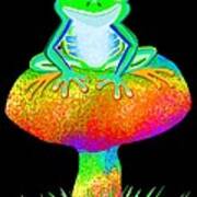 Red Eyed Tree Frog And Mushroom Poster