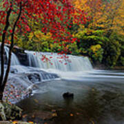 Red Leaves In Dupoint Park Hooker Falls Poster