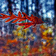 Red Leaves On Windshield Dry Brush Poster