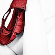 Red Panties Poster