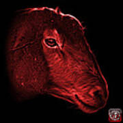 Red Polled Dorset Sheep - 1643 F Poster