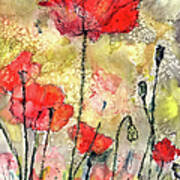 Red Poppies Botanical Watercolor And Ink Poster