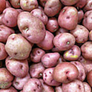 Red Potatoes Poster