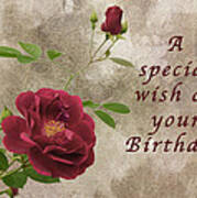 Red Rose Birthday Wish Poster