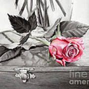 Red Rosebud On The Jewelry Box Poster