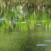 Reflections In Pond At Lunuganga Poster