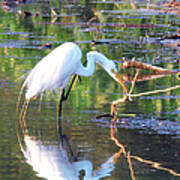 Reflections On Wildwood Lake Poster