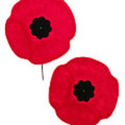 Remembrance Day Poppies Poster
