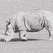 Rhino Graffiti Poster