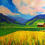 Rice Fields Philippines Poster