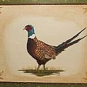 Ringneck Pheasant Poster