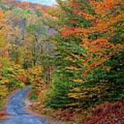 Road Through Autumn Woods Poster