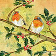Robin Couple Poster