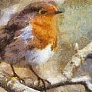 Robin Redbreast Poster