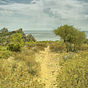 Rocky Path To The Sea Poster