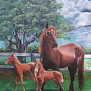 Twin Foals-a Spring Blessing Poster