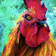 Rooster Colorful Expressions Poster