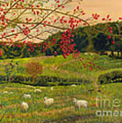 Rosehips Welsh Landscape Art Poster
