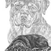 Rottie Charm - Rottweiler Dog Print Poster