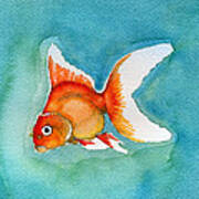 Ryukin Goldfish Poster