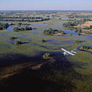 Safari Airplane Flying Over Okavango Poster