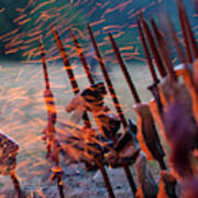 Salmon Skewered On Redwood Stakes Cooks Poster