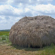 Salt Marsh Hay Poster