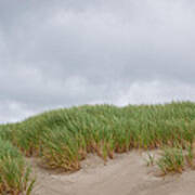 Sand Dunes And Grass Poster
