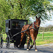 Saturday Buggy Ride Poster