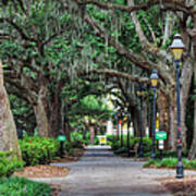 Savannah - Forsyth Park 007 Poster