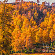 Scottish Autumn Poster