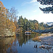 Scottish Loch Near Aviemore Poster