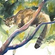 Scottish Wild Cat In A Tree Poster