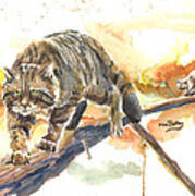 Scottish Wildcat Tom Poster