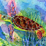 Sea Turtle Poster