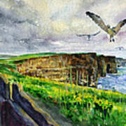 Seagulls At The Cliffs Of Moher Poster