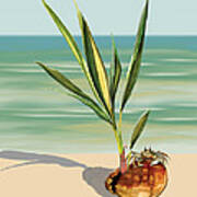 Seedling Floating Ashore Poster