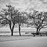 Serene Wintry Lakefront Scene Poster