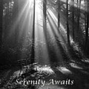 Serenity Awaits Poster