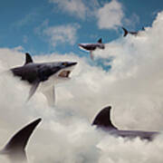 Sharks Floating In Clouds Poster