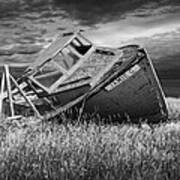 Ship Wreck On Prince Edward Island Poster