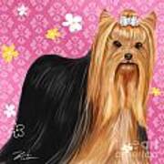 Show Dog Yorkshire Terrier Poster